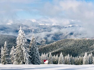 Fototapeta premium ski resort