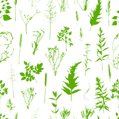 Seamless pattern of field grass. Hand drawing. Not AI. Vector illustration