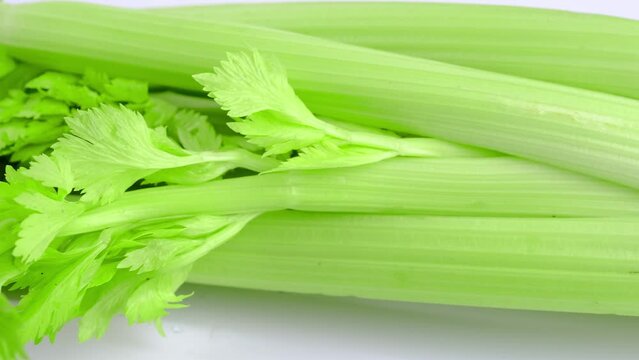 celery bush close-up on a white background