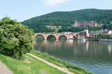 Fototapeta na wymiar Die Alte Brücke, Schloss und die Altstadt Heidelberg