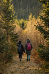 hiking in the mountains, two persons going through forest