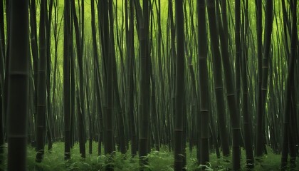 Dark bamboo forest background