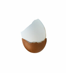 white and brown egg shells,white background 