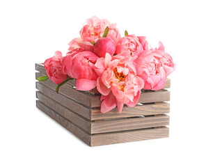 Wooden crate with beautiful pink peonies on white background