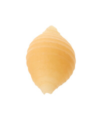One piece of raw conchiglie pasta isolated on white