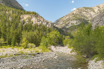 Fototapeta na wymiar Wood River mountain stream at the entrance of a canyon in the Shoshone National Forest in the wilderness of northwest Wyoming during summer. 
