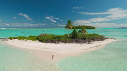 Woman in bikini waving hands relax on tropical island beach. Wild untouched nature, coral reef sea landscape, crystal water, palm trees. Travel summer holiday vacation. Aerial drone flight © Anastasia Pro