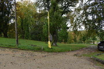 Naklejka premium Park