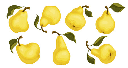 Set of ripe yellow pear fruits. Vector graphics.