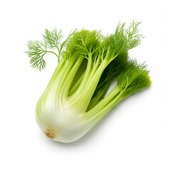 Fennel Isolated on White Background