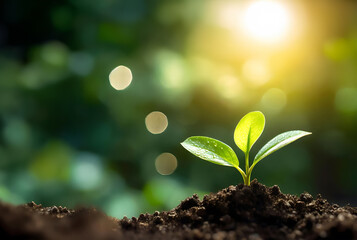 Close up of a young plant sprouting from the ground with green bokeh background, rich soil, ecology concept, World Soil Day, generative ai
