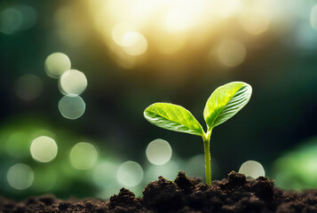 Close up of a young plant sprouting from the ground with green bokeh background, rich soil, ecology concept, World Soil Day, generative ai - obrazy, fototapety, plakaty