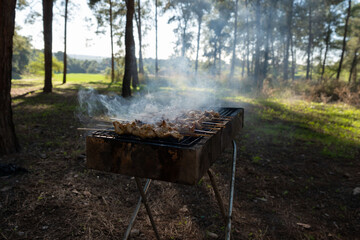 Sizzling BBQ skewers on a rustic grill amidst a tranquil forest setting, smoke curling upwards in the golden light of day