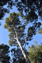 Barcelona City buildings architecture gardens