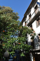 Travelling on madeira island