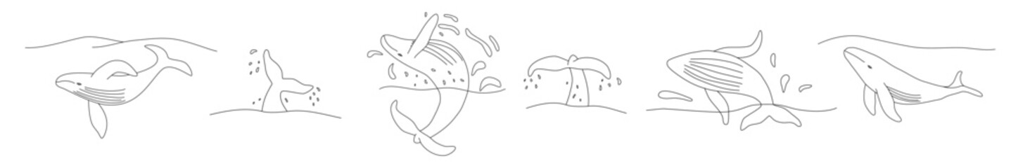Set with whales, doodle style flat vector outline for coloring book