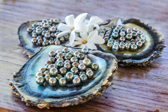 Close up of black pearls of Tahiti, Rangiroa, French Polynesia