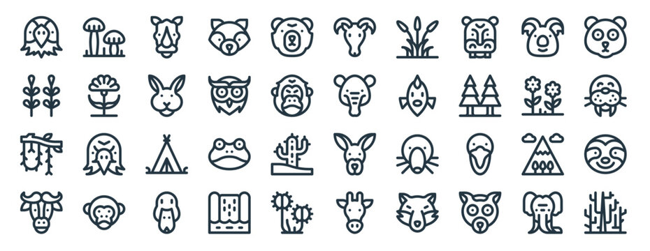 linear pack of wildlife line icons. linear vector icons set such as mushroom, goat, tapir, vines, buffalo, dry tree. vector illustration.