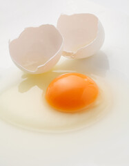 卵　　スタジオ撮影