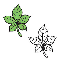 leaf vector illustrations. leaves drawing with line art on white backgrounds. Simple Design Outline Style. You can give color you like