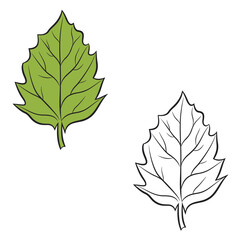 leaves vector illustrations. Simple Design Outline Style. You can give color you like. leaf drawing with line art.