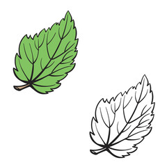 leaf vector illustrations. leaves drawing with line art on white backgrounds. Simple Design Outline Style. You can give color you like