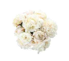 Bouquet of beautiful peonies on white background