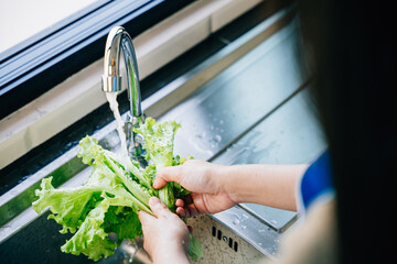 Clean eating at home, Woman's hands wash fresh vegetables under running water in a modern kitchen sink prepping a vegan salad. Emphasizing hygiene and fresh crisp leafy greens. - obrazy, fototapety, plakaty