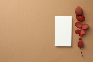 Blank business card and red eucalyptus branch on beige background, flat lay. Mockup for design © New Africa
