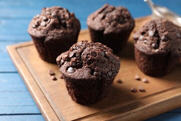 Delicious chocolate muffins on blue wooden table, closeup