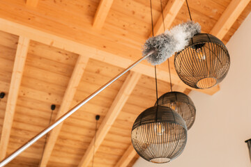 Pipidastr wipes dust from metal lamps.Ceiling lights cleaning.fluffy bristle brush cleans lamps...