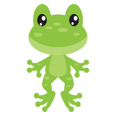 Cute little green frog vector cartoon illustration