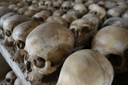 Skulls and human bones found in excavation.
