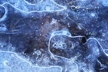 田んぼに張った氷模様