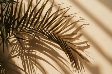 Fototapeta premium Green Palm Leaves in Tropical Paradise: Abstract Botanical Foliage on a Sunny Beach Wall