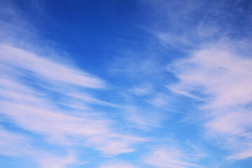 刷毛で描いたような雲