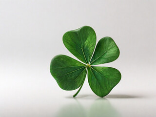 Four leaf clover on white background St Patrick's Day concept