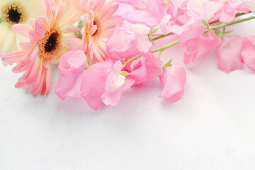 春の花