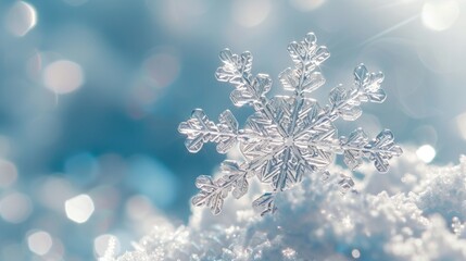 Close-Up Snowflake on Blue Background, Clear