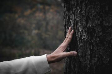 close-up woman hand touch the tree trunk. Bark wood.Caring for the environment. The ecology the...