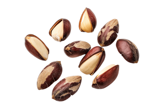 Group of peanuts on a transparent background