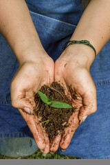 latina woman's hands planting in beautiful garden