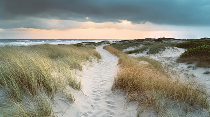 Sand dunes and a path leading to the sea. Empty sandy beach with wild grass growing on dunes. Stormy sky, moody weather.