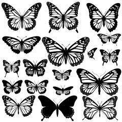 pattern with butterflies  Butterfly Net Custom Butterfly