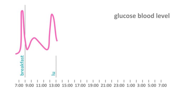 Fluctuation of the blood sugar concentration in humans during the course of a day with 3 meals.