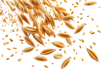 Golden grains of wheat spread across a textured background, representing agriculture and healthy food