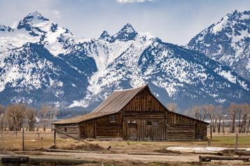 The iconic TA Moulton Barn along Morman Row with the majestic Grand Tetons in the background © Arnie