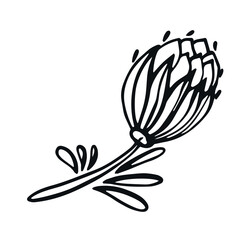 Black and white sheet. Vector illustration highlighted on a white background. For nature, eco and design. Hand-drawn plants, a frame for a postcard.