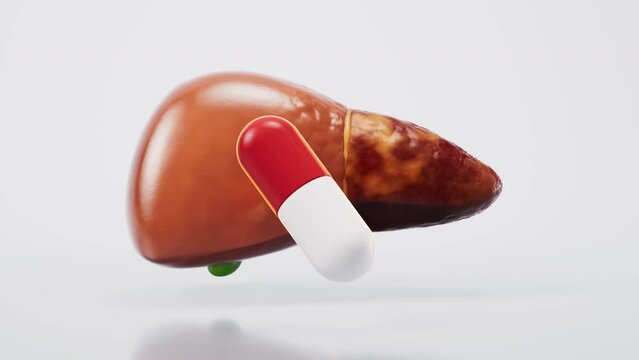 Liver organ with fatty liver state, 3d rendering.