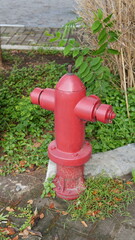 Fototapeta na wymiar hydrant in the garden